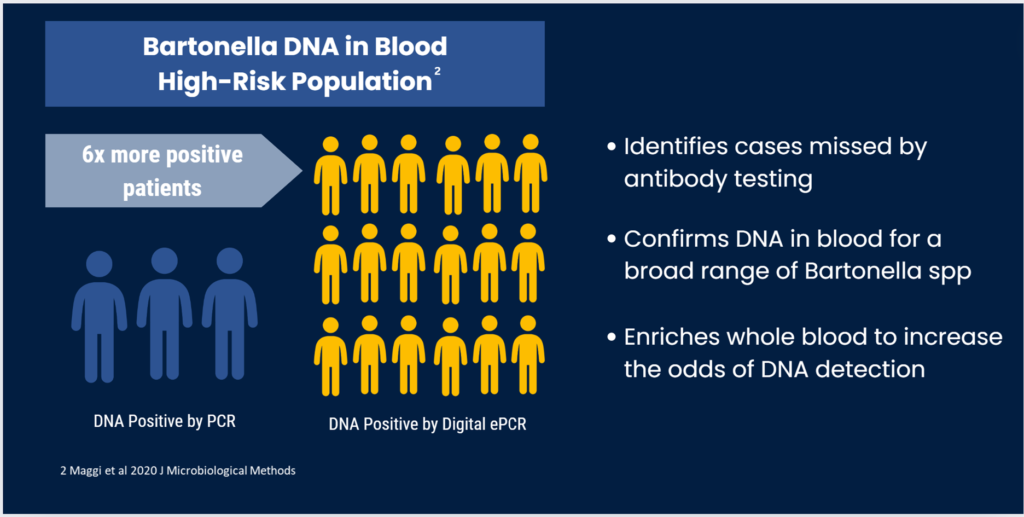 ePCR DNA diagram