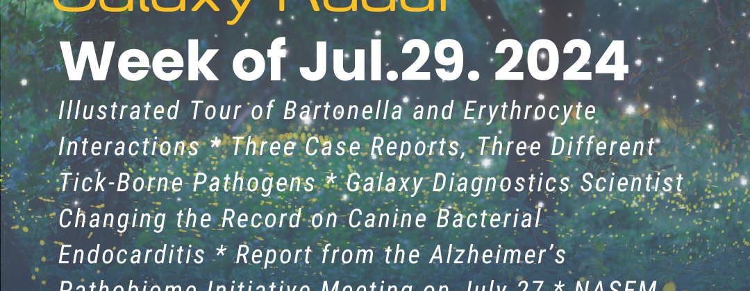 Galaxy Radar, Week of July 29, 2024. Illustrated Tour of Bartonella and Erythrocyte Interactions * Three Case Reports, Three Different Tick-Borne Pathogens * Galaxy Diagnostics Scientist Changing the Record on Canine Bacterial Endocarditis * Report from the Alzheimer’s Pathobiome Initiative Meeting on July 27 * NASEM Expert Panel Holds First Meeting on Lyme IACI * More. Background image: Trees with stars and fireflies.